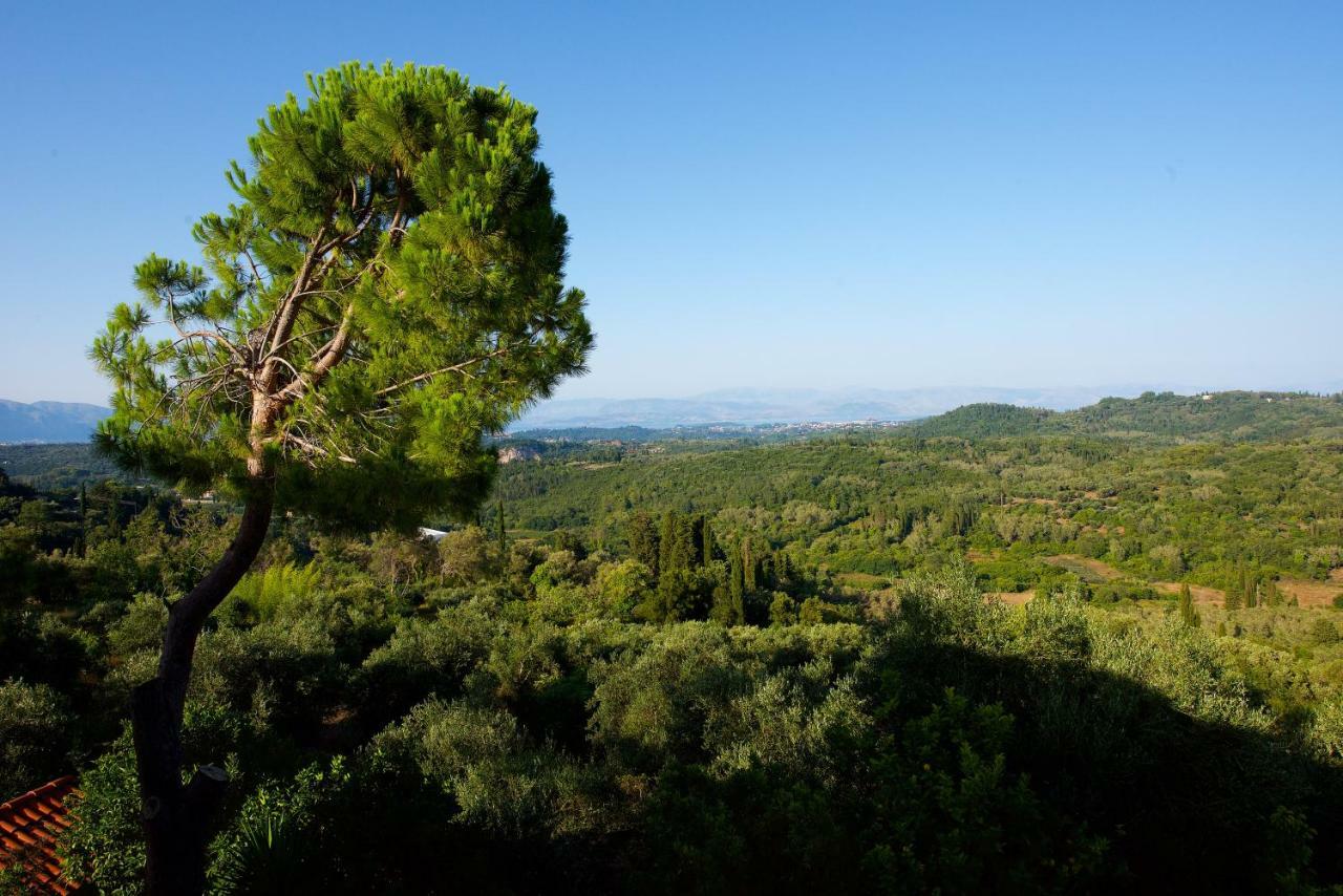 Aurora Apartment Corfu ペレカス エクステリア 写真